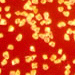 Diamond micron powder